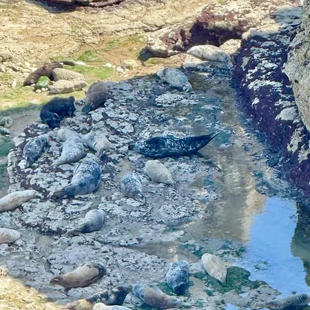 Dom wakacyjny Autumn *