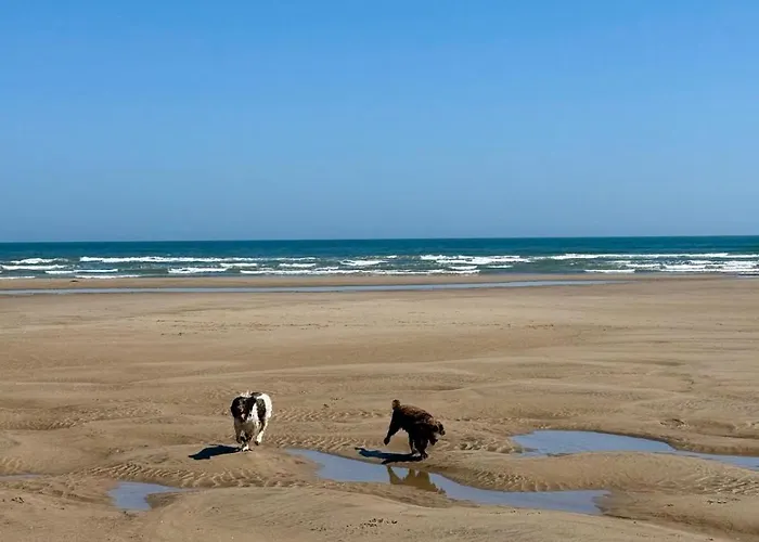 Holiday home Autumn Filey