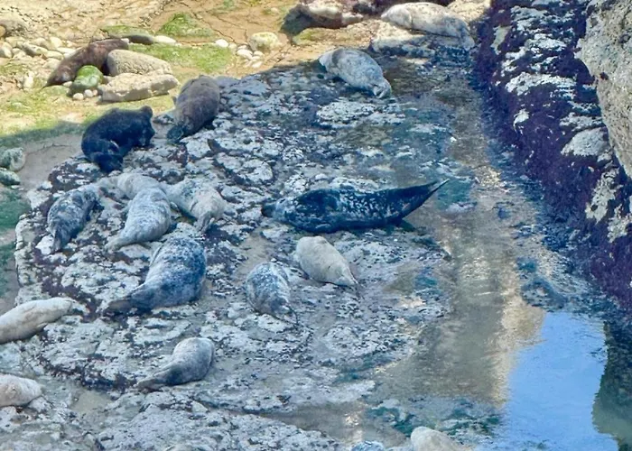 Holiday home Autumn *